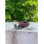 Red with Roof Close 